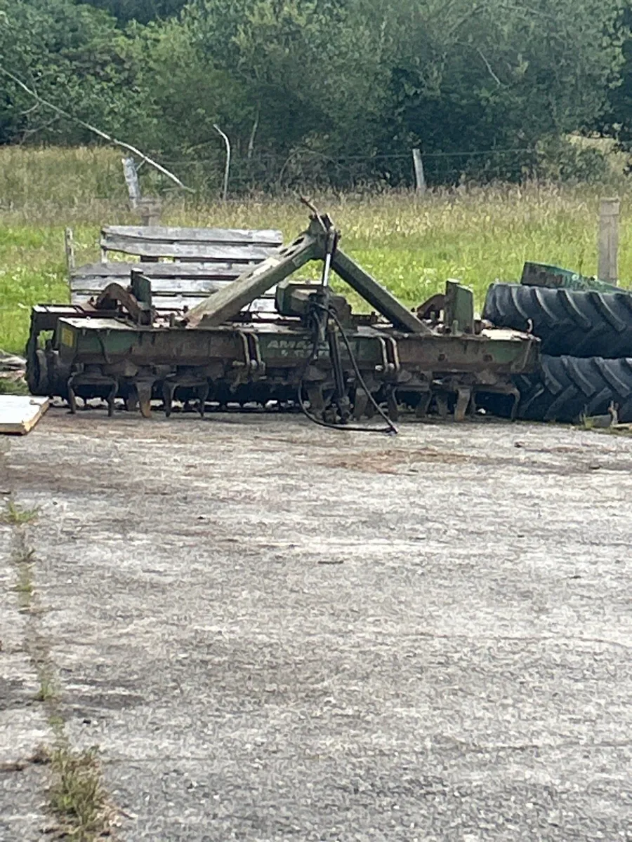 Amazone - Image 2