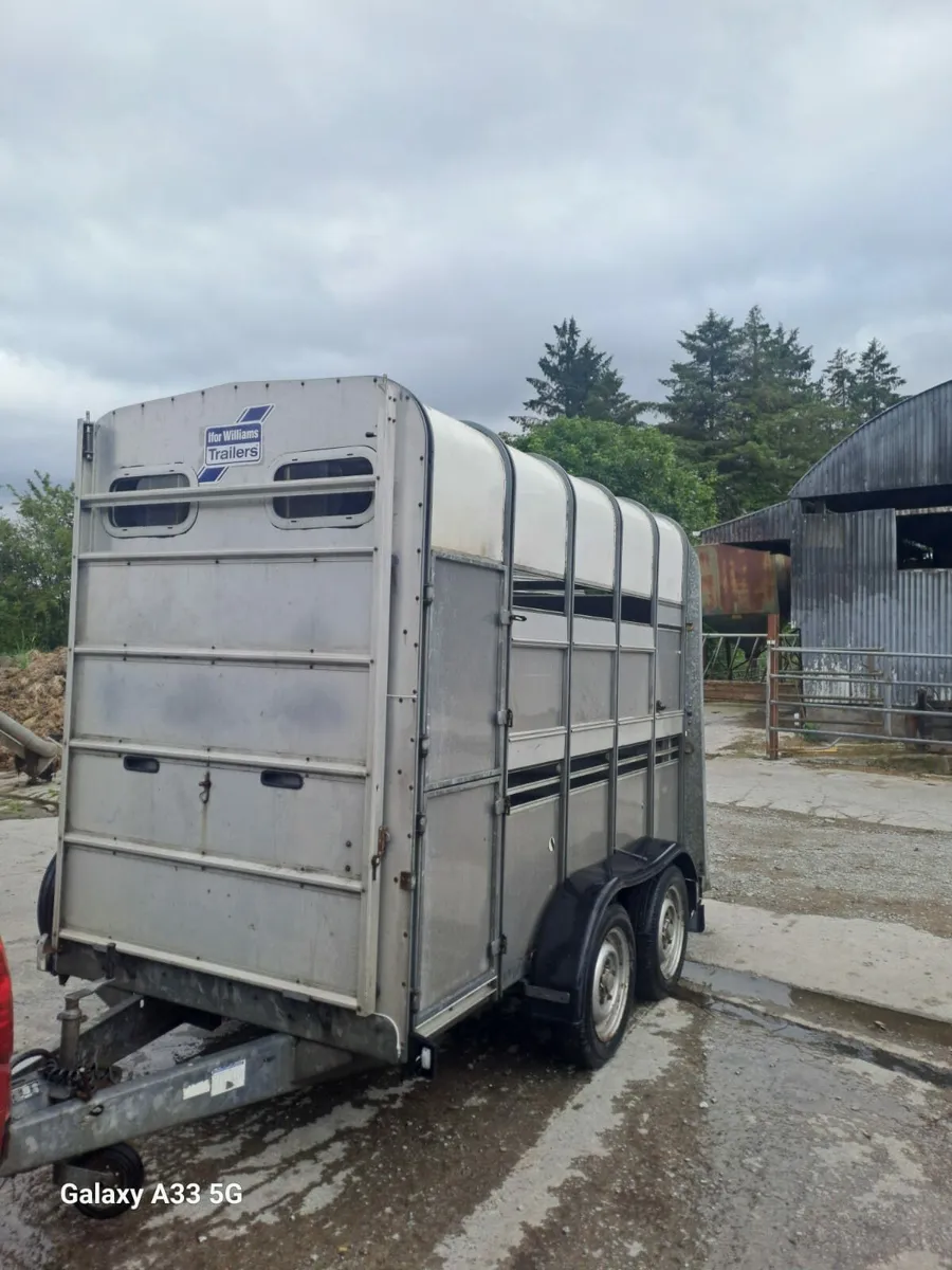 Ifor Williams Cattle / Horse Trailer - Image 3