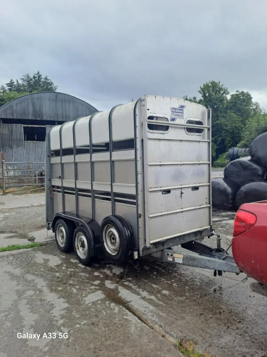 Ifor Williams Cattle / Horse Trailer - Image 1