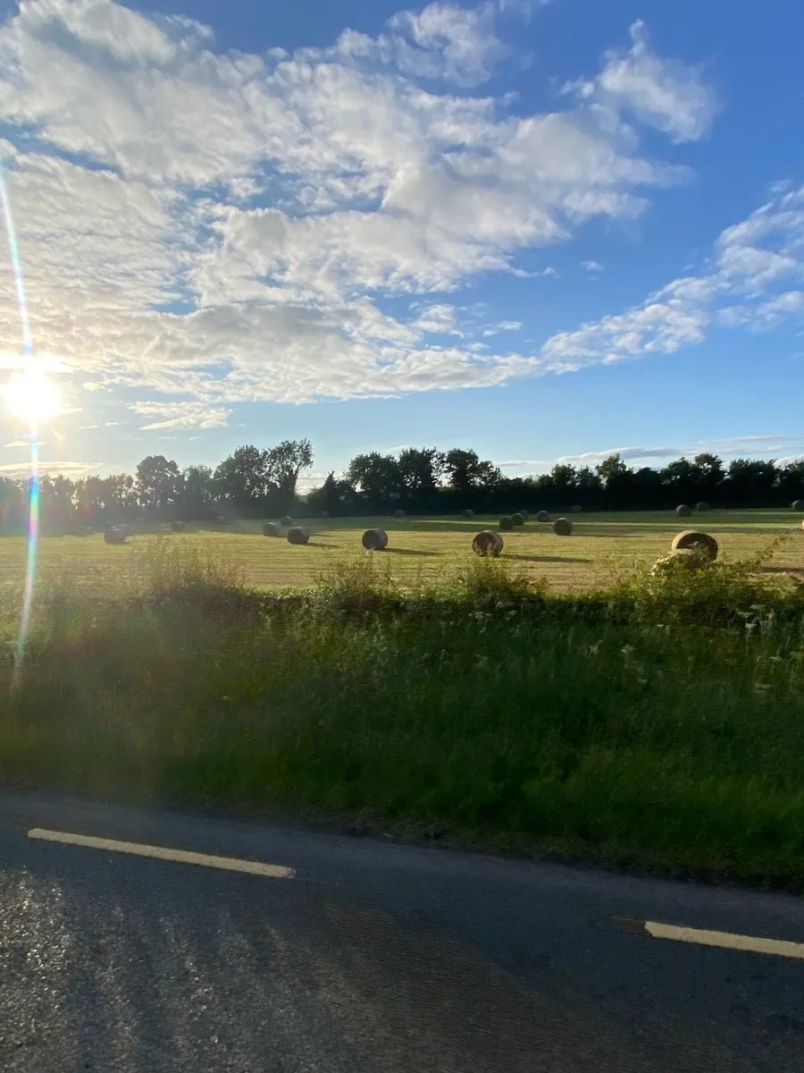 Hay - Image 1