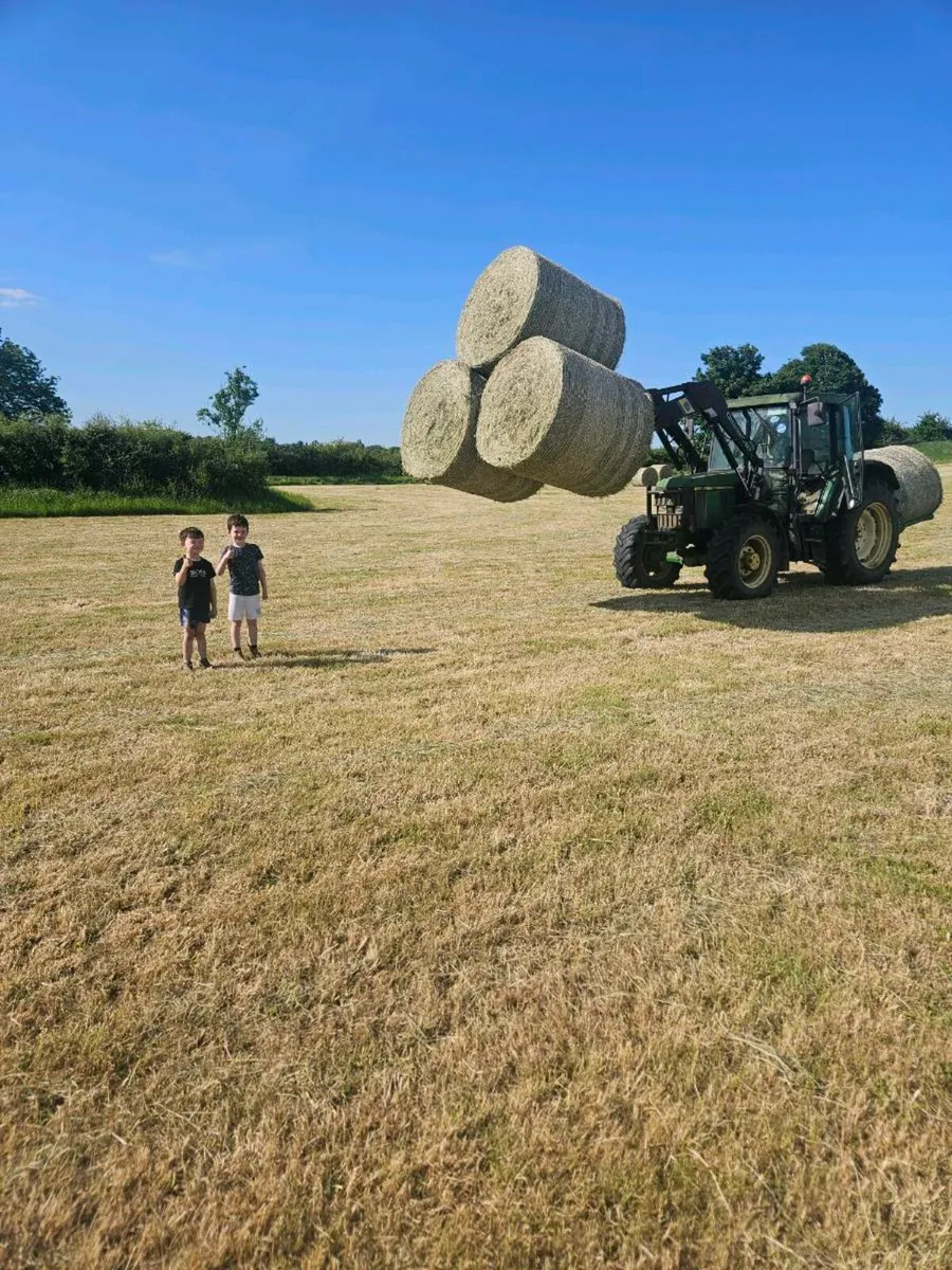 Round bales of hay - Image 1