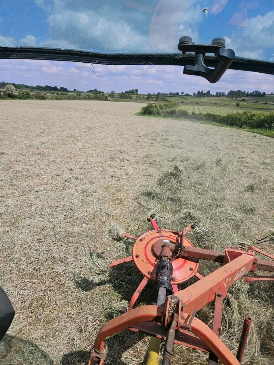 Round bales of hay - Image 2