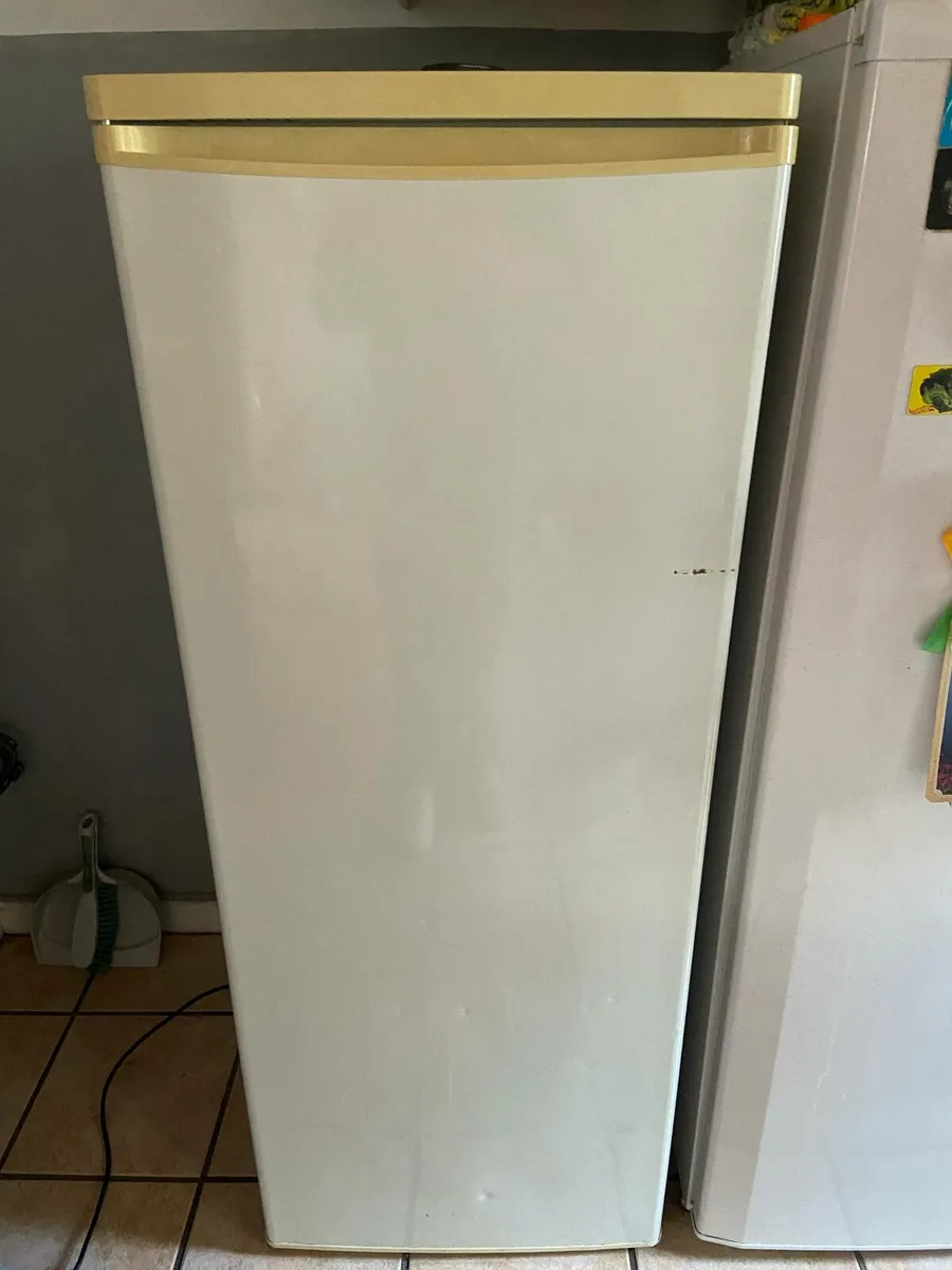 Tall freezer - Image 1