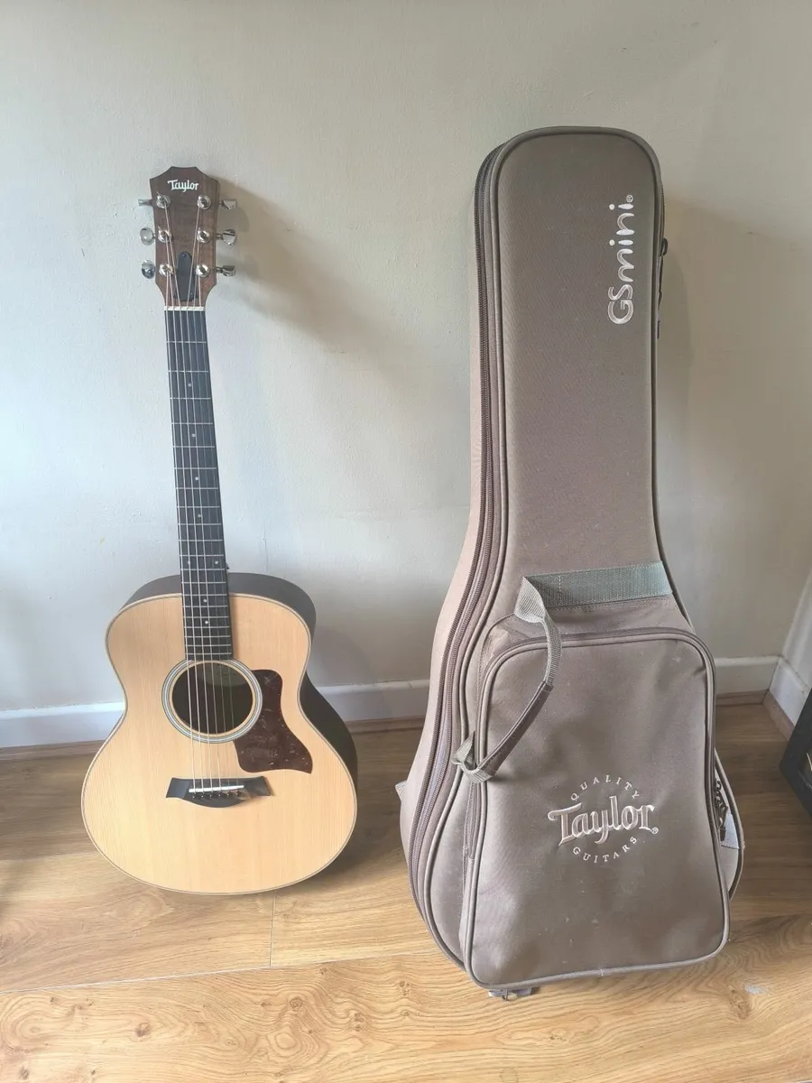 Taylor GS Mini with original case - Image 1