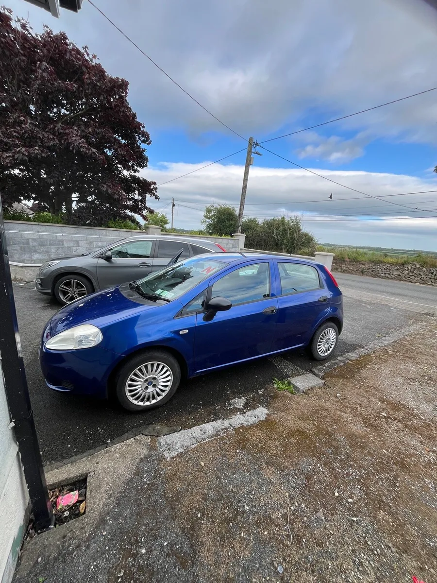 Fiat punto LOW MILEAGE - Image 2