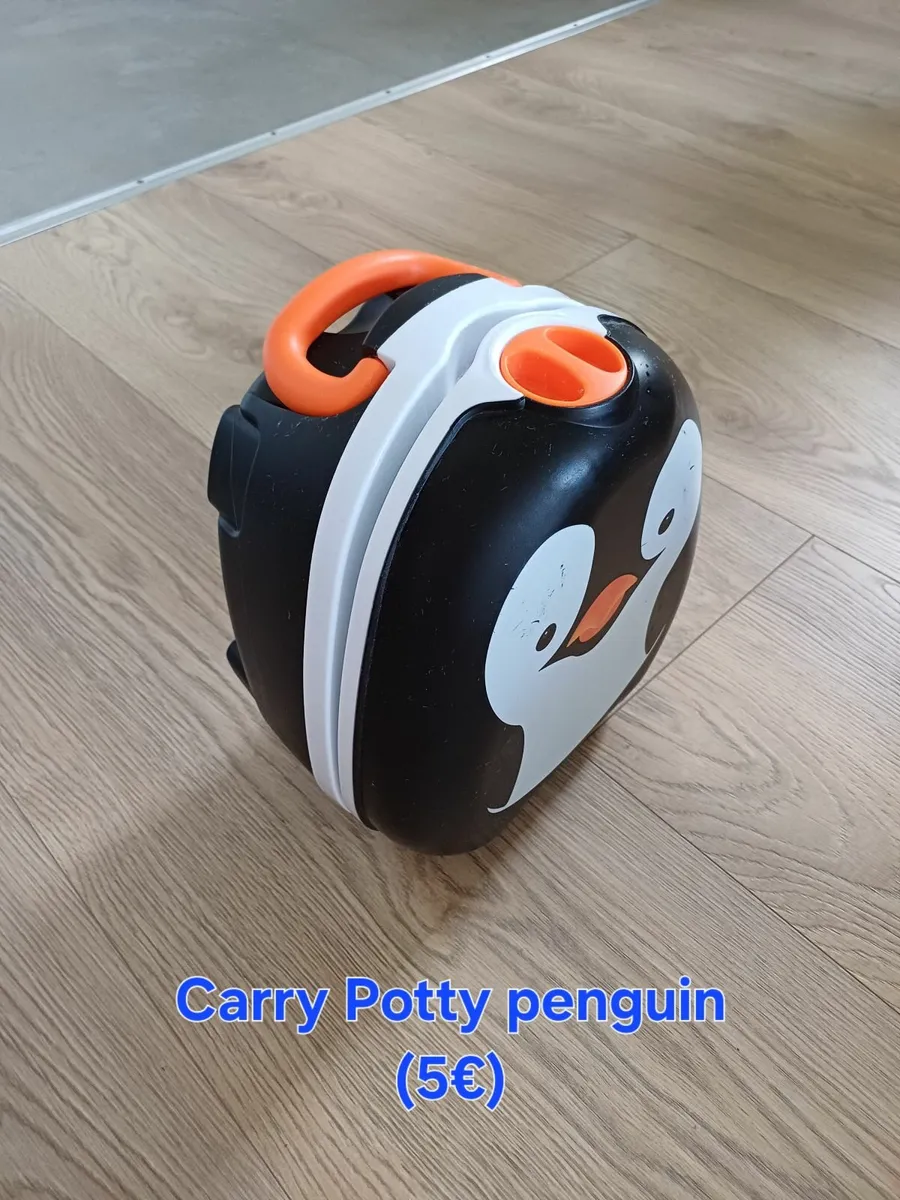 Toddler potty