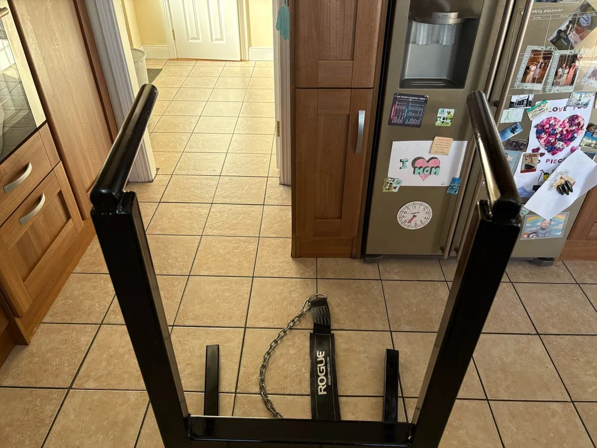 Rogue Branded Dip Belt And Steel Tricep Dip Stand! - Image 4
