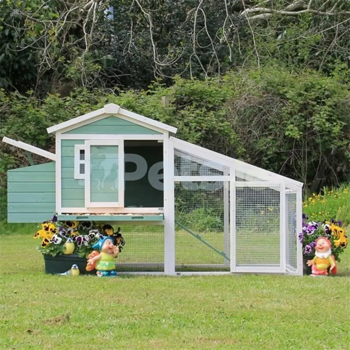 Chicken Coop - Image 2