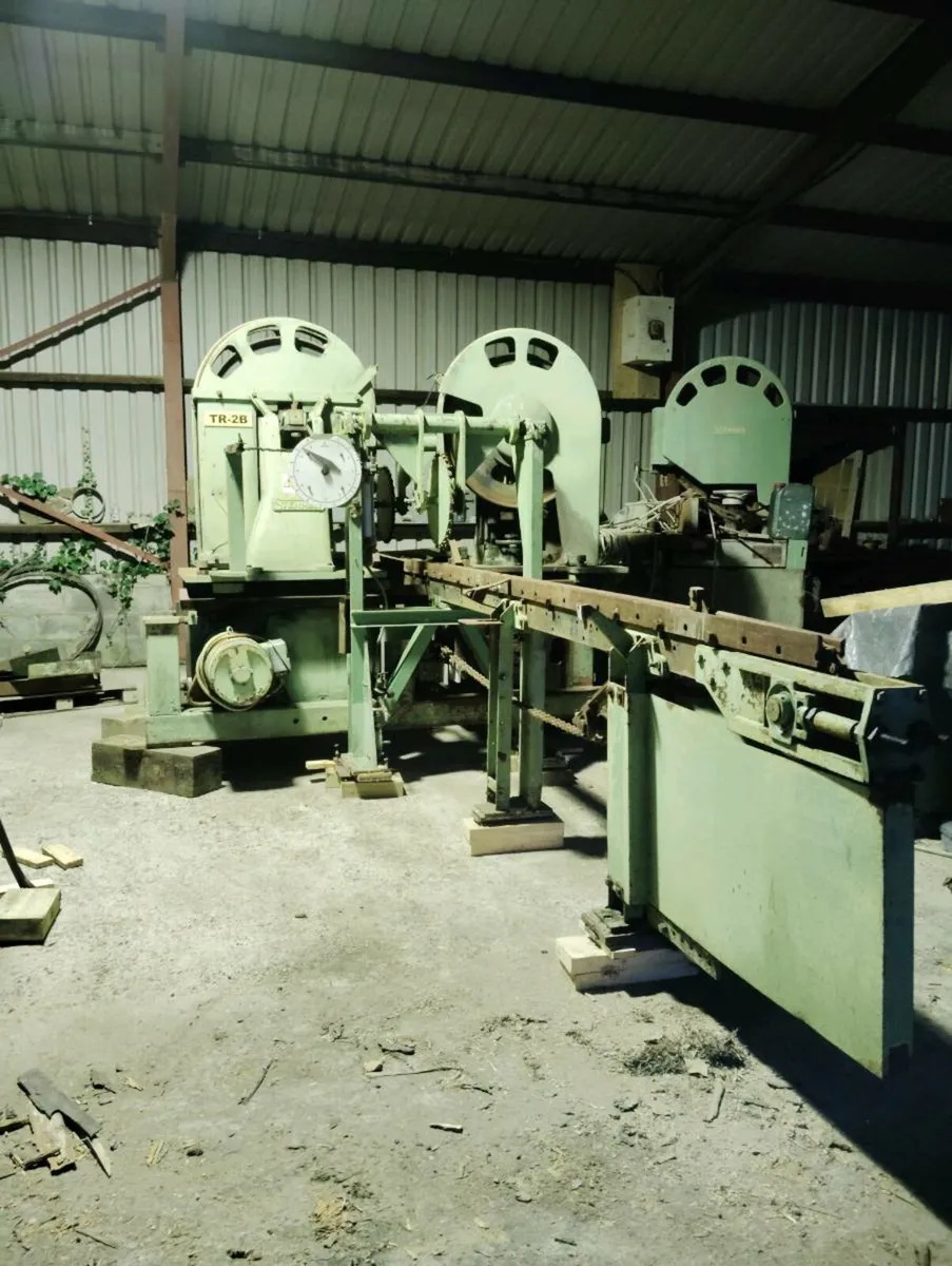 Stenner twin bandsaw - Image 1