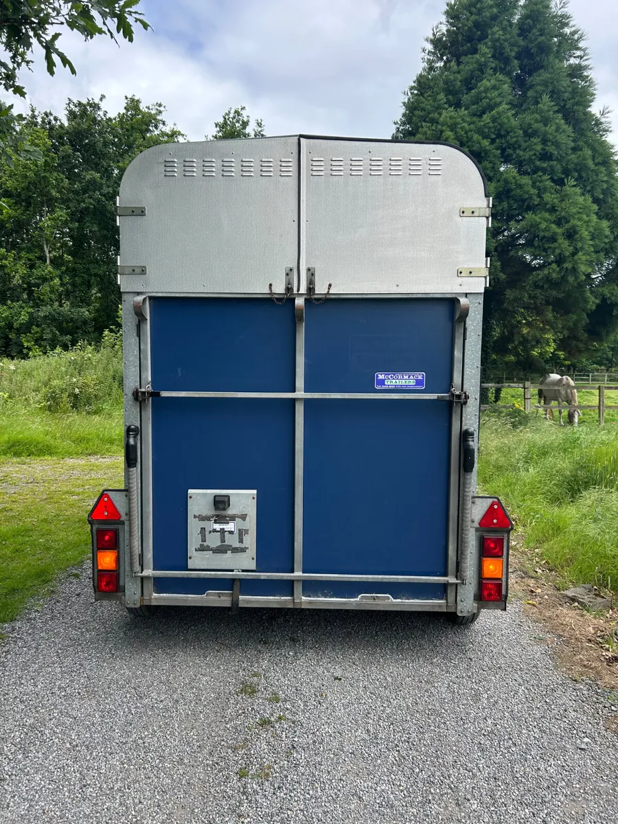 Ifor Williams HB505 Horsebox - Image 2