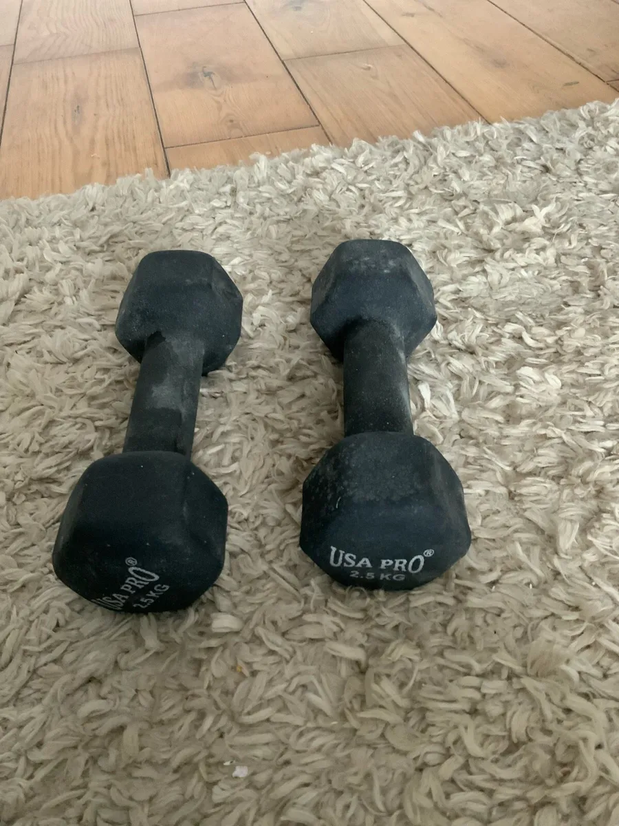 USA pro weights - Image 1