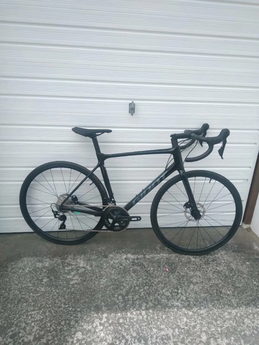 Giant TCR 2 M/L