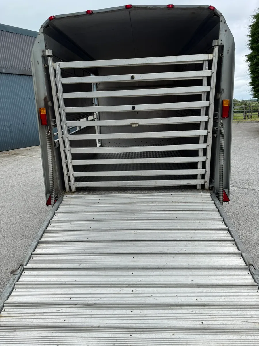 Ifor Williams livestock trailer - Image 2