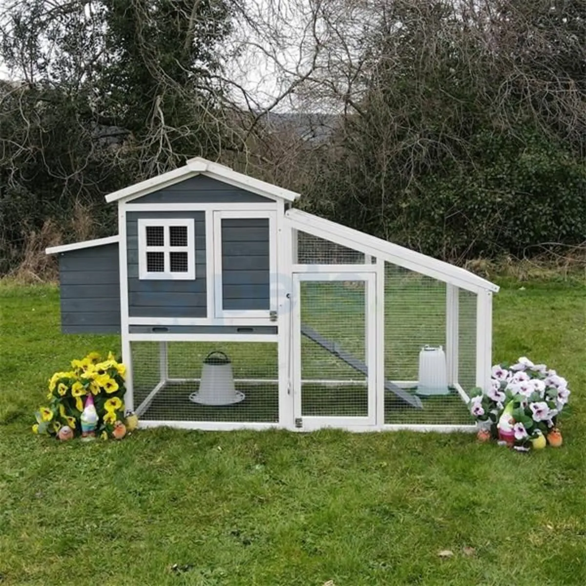 Chicken Coop - Image 2