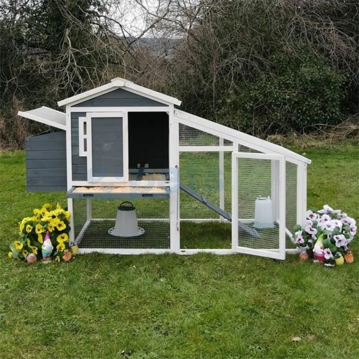 Chicken Coop - Image 4