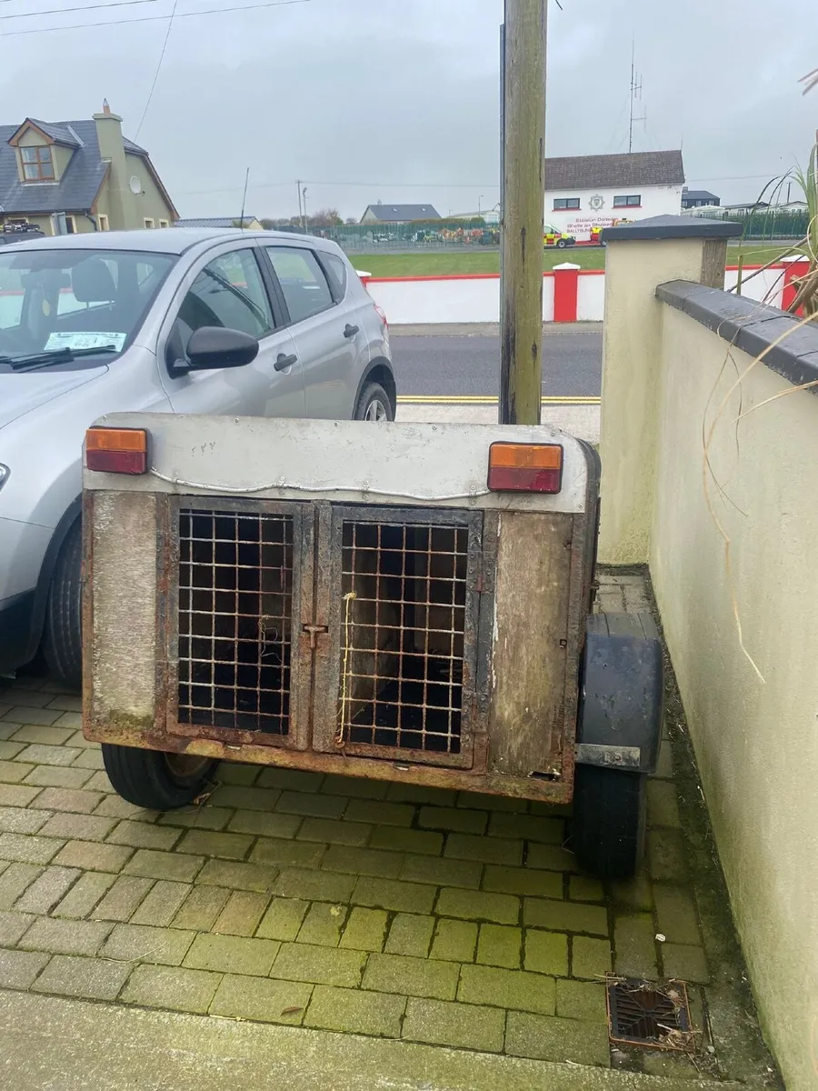 Three unit Dog-Box. - Image 3