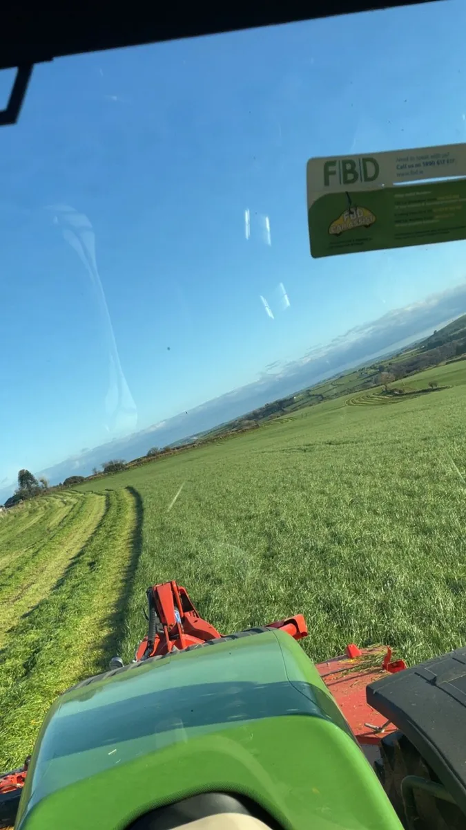Second cut silage for sale