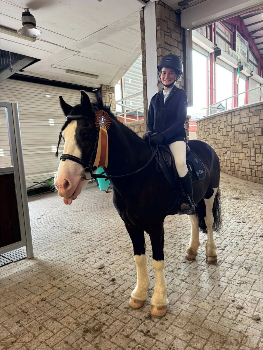 Ideal first pony 🌟 - Image 1
