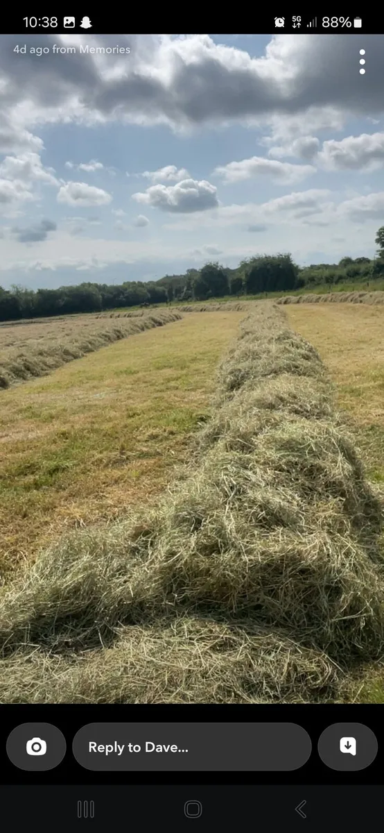 Top class haylage - Image 1