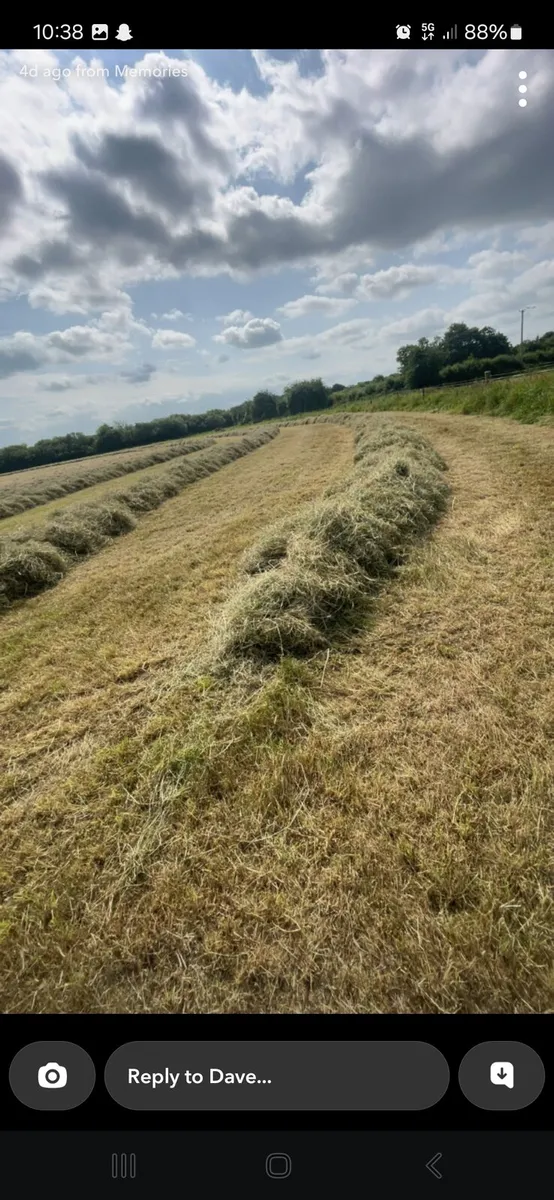 Top class haylage - Image 2