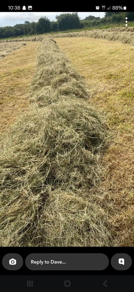 Top class haylage - Image 3