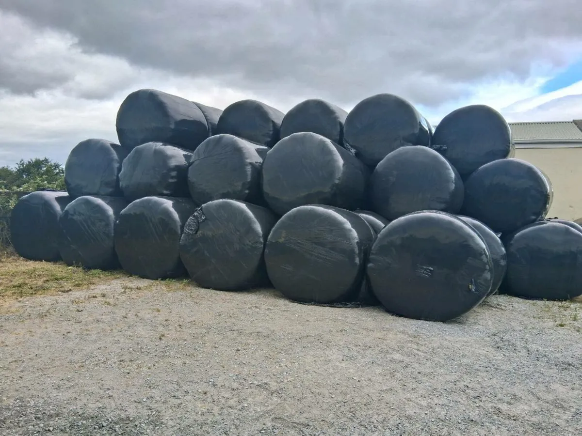 Top class haylage - Image 4