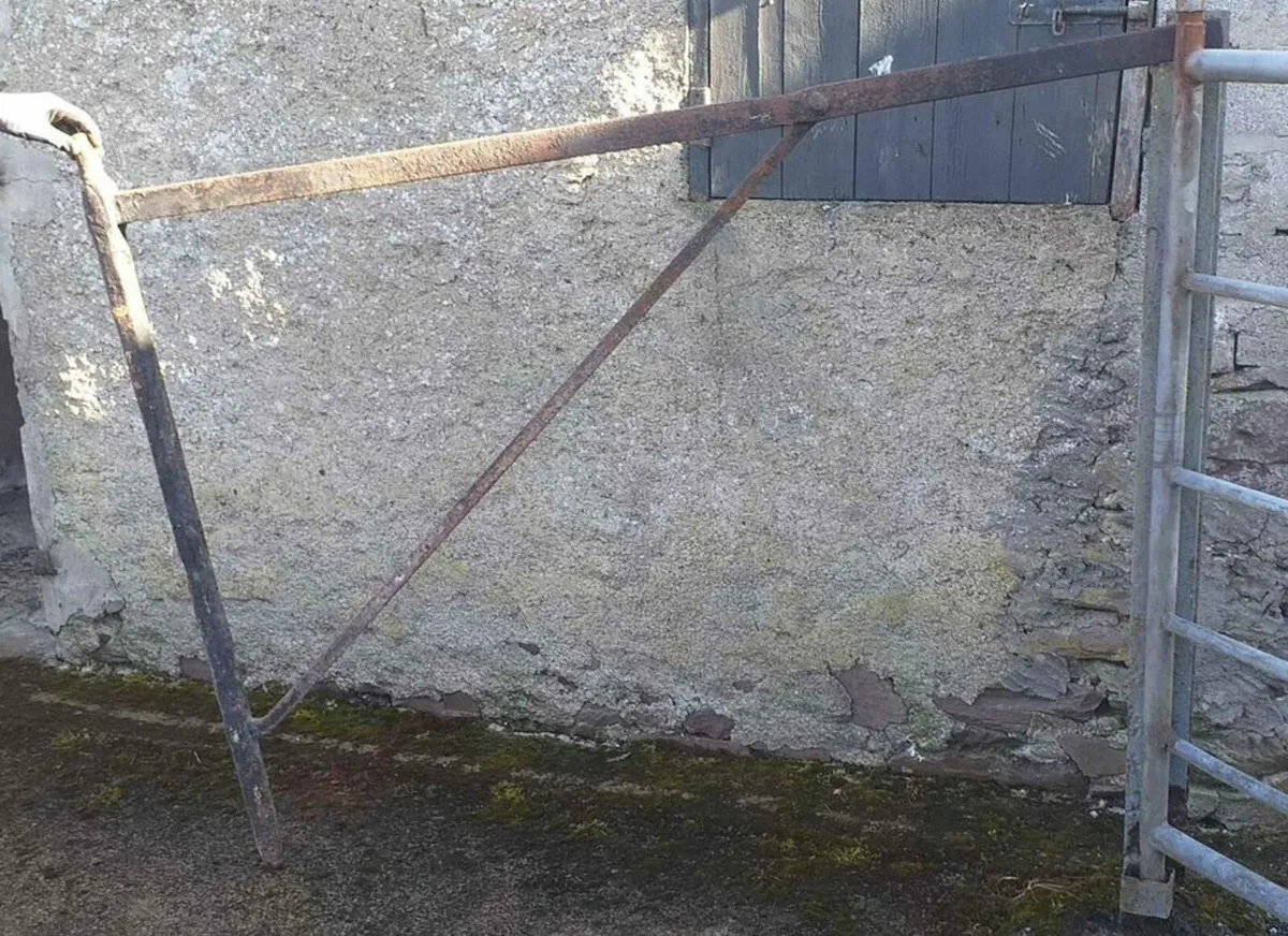 Fire Crane - Image 2