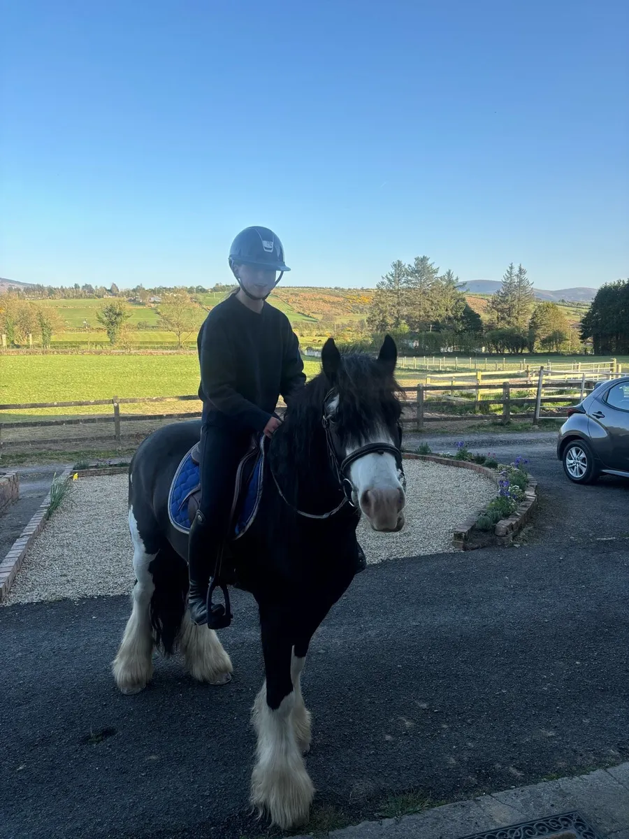 Ideal first pony 🌟 - Image 3