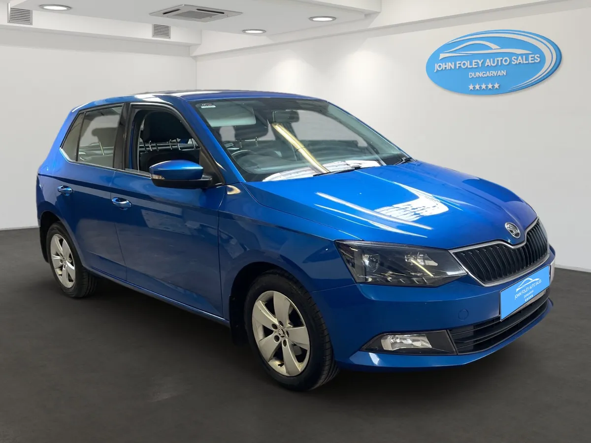 172 -Skoda -Fabia -1.4 Diesel - Image 1