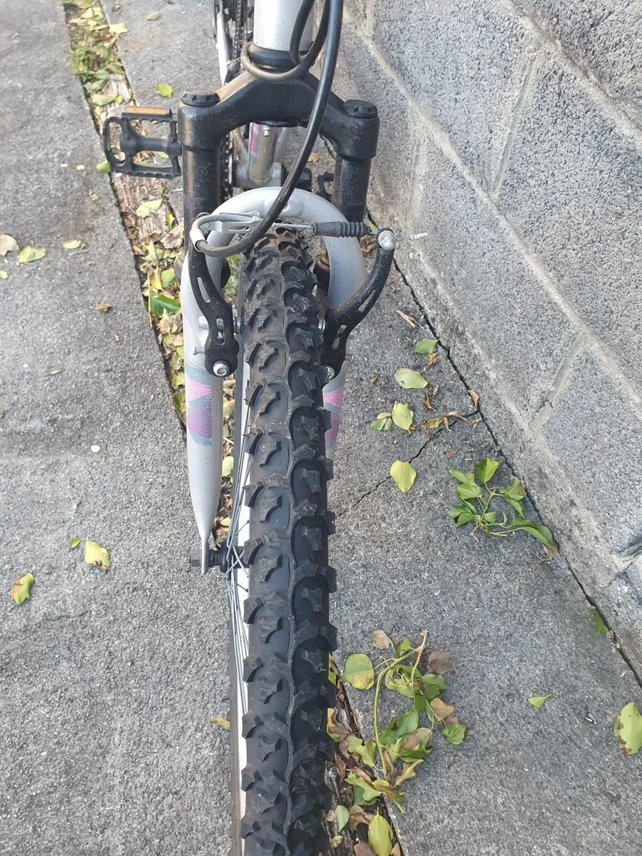 Adult bike - Image 2