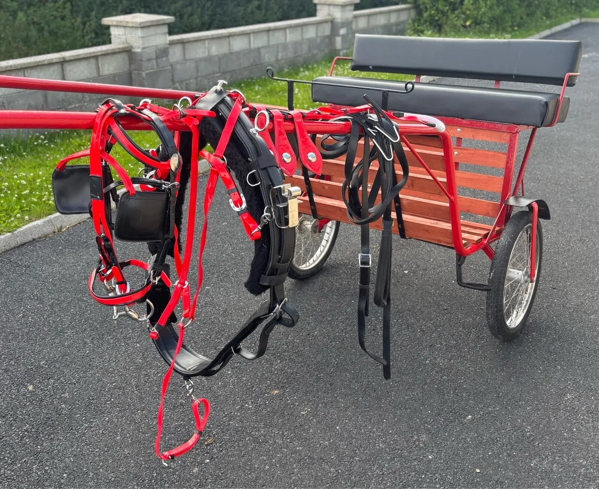 New Duhig road cart & Quick itch Harness - Image 1