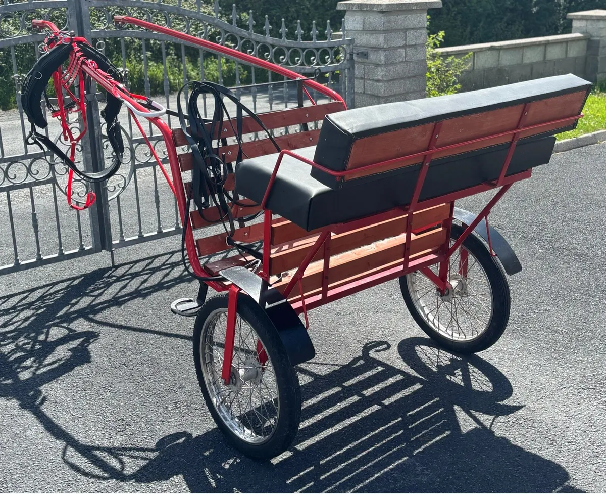 New Duhig road cart & Quick itch Harness - Image 2