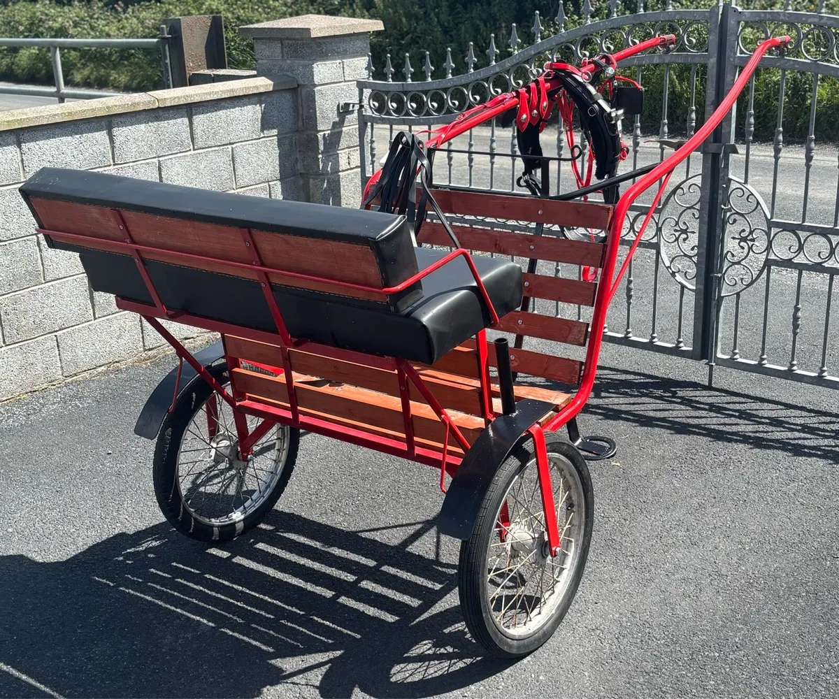 New Duhig road cart & Quick itch Harness - Image 3