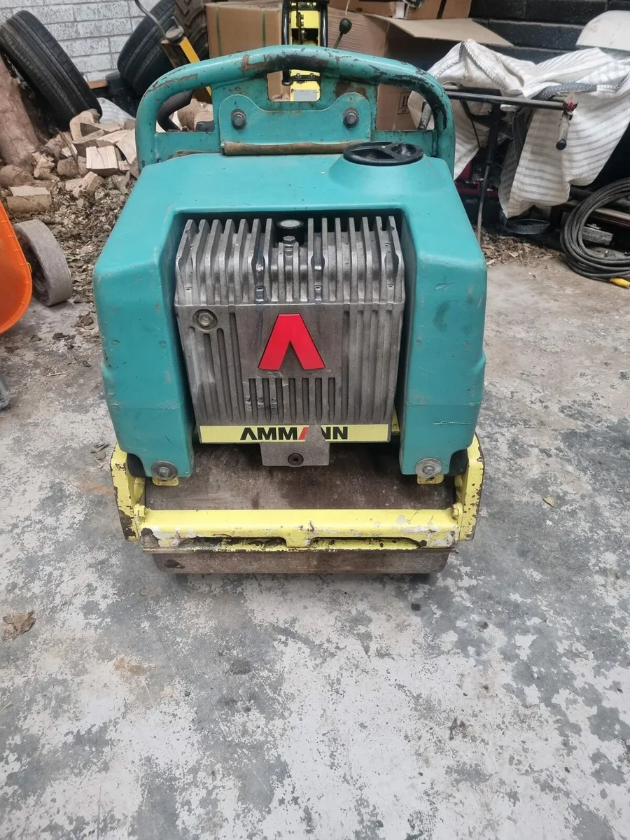 Pedestrian Roller - Image 1