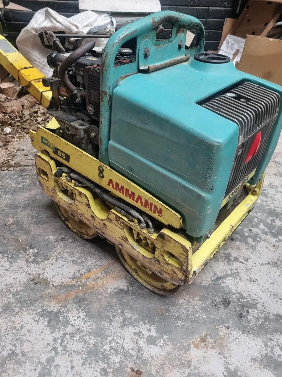 Pedestrian Roller - Image 2