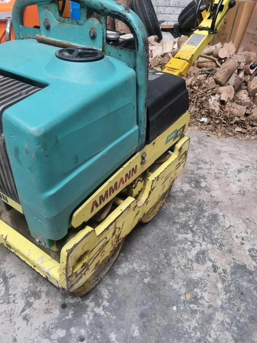 Pedestrian Roller - Image 3