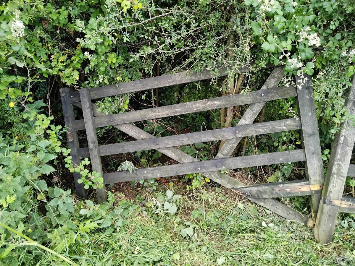 TIMBER GATES HINGE SET COMPLETE.... - Image 4