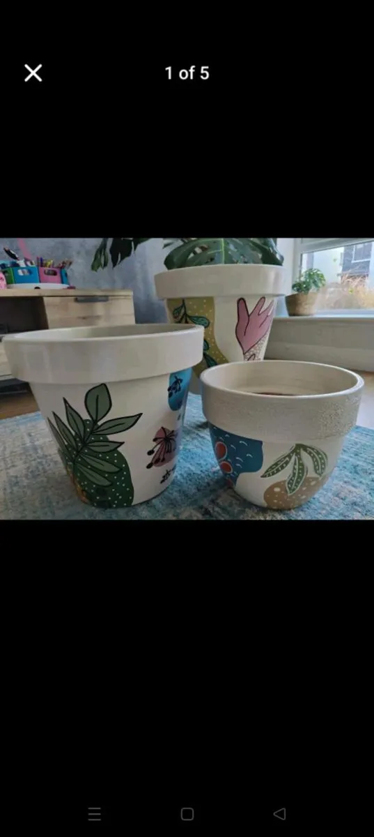 Hand-Painted Plant Pots – Indoor & Outdoor Ready - Image 1