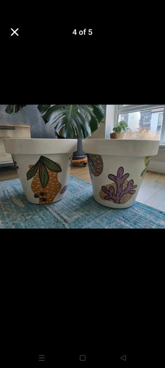 Hand-Painted Plant Pots – Indoor & Outdoor Ready - Image 2