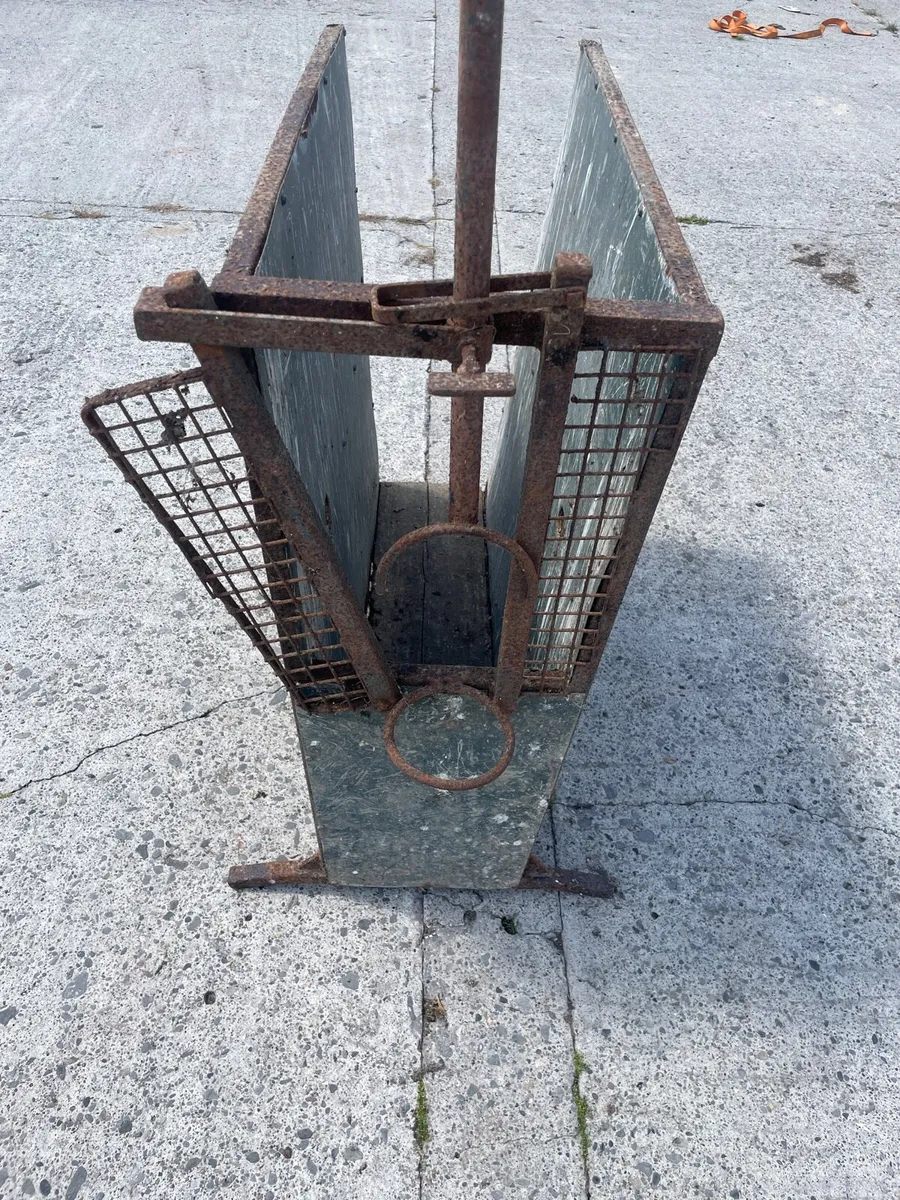 Calf Dehorning Crate - Image 2