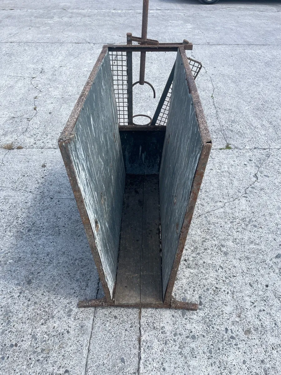 Calf Dehorning Crate - Image 3