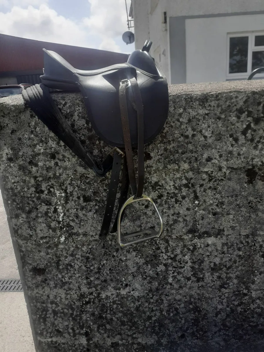 Pony Tack - Image 2
