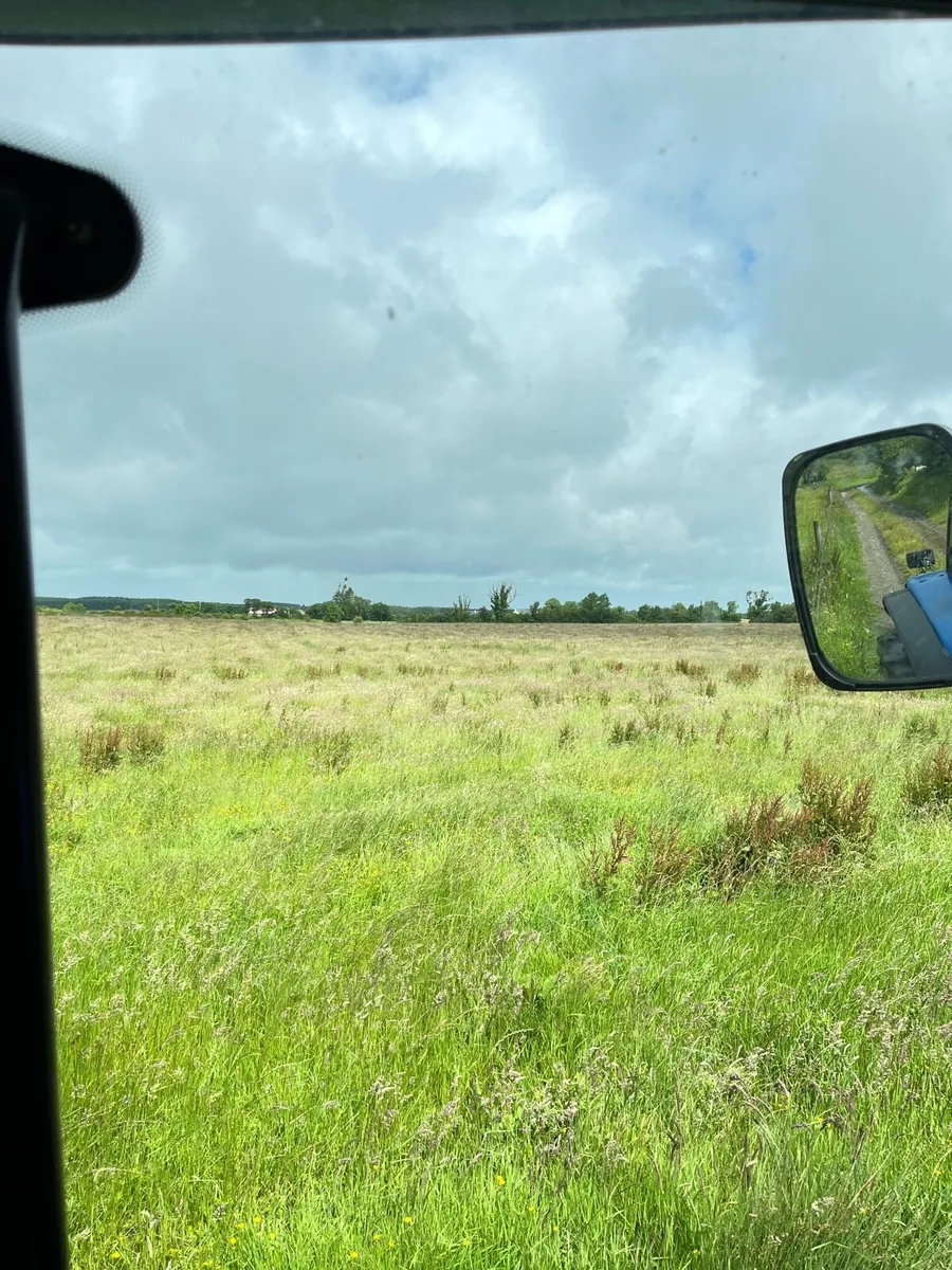 Silage ground - Image 1