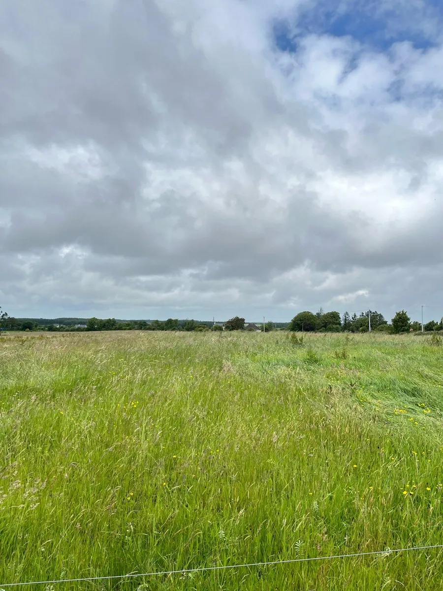 Silage ground - Image 3