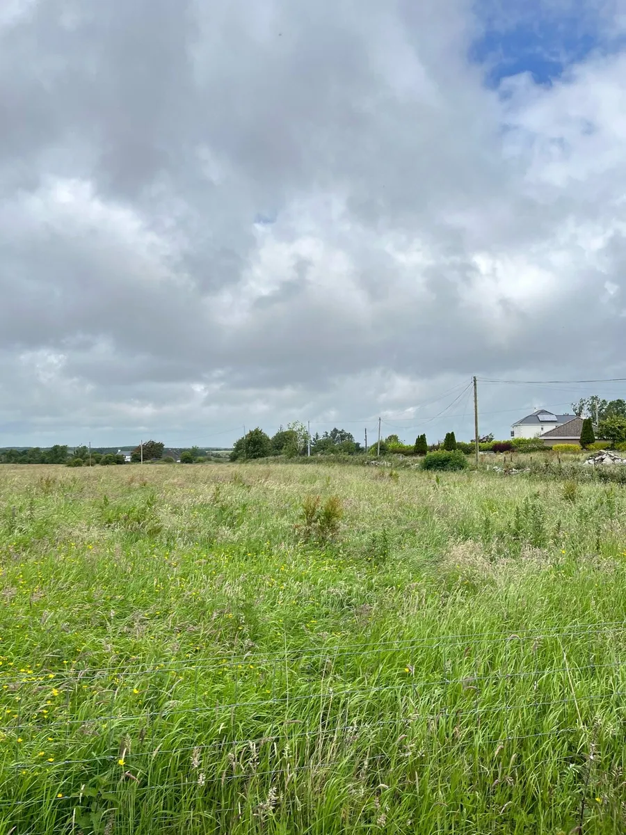 Silage ground - Image 4