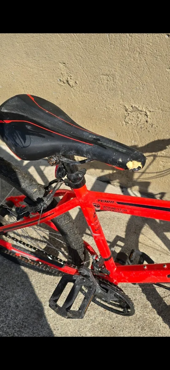 Bike - Image 4