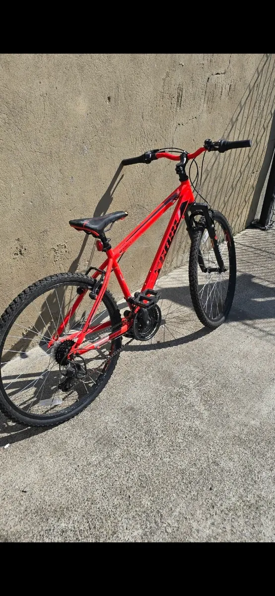 Bike - Image 1
