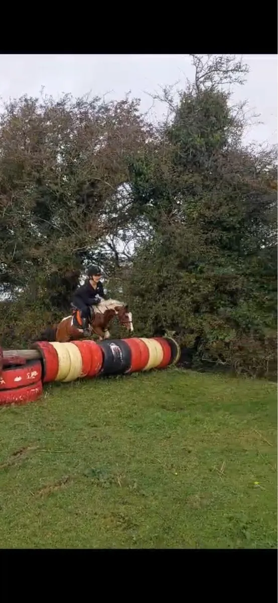 Fabulous Pony - Image 2