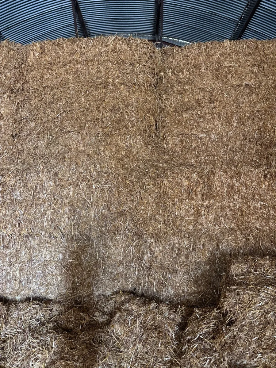 Top Quality Oaten Straw for sale