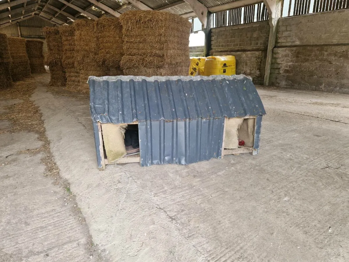 Steel Dog kennel - Image 1
